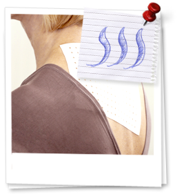 backs-in-office06-270px
